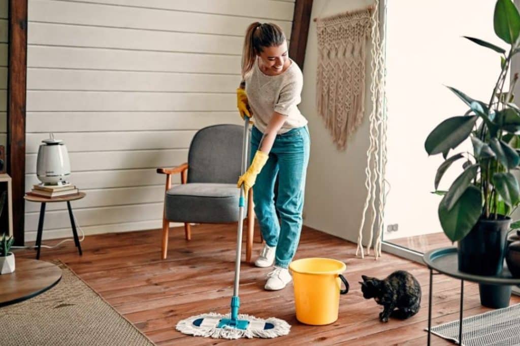 Time-saving cleaning hacks for busy homeowners