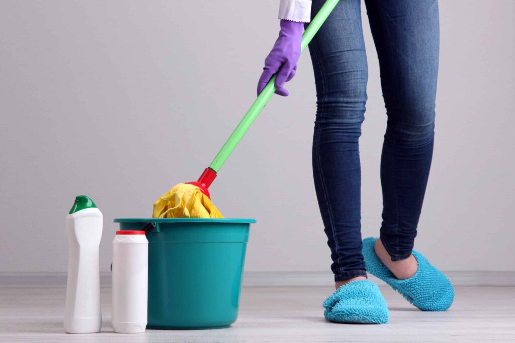 Professional cleaning services