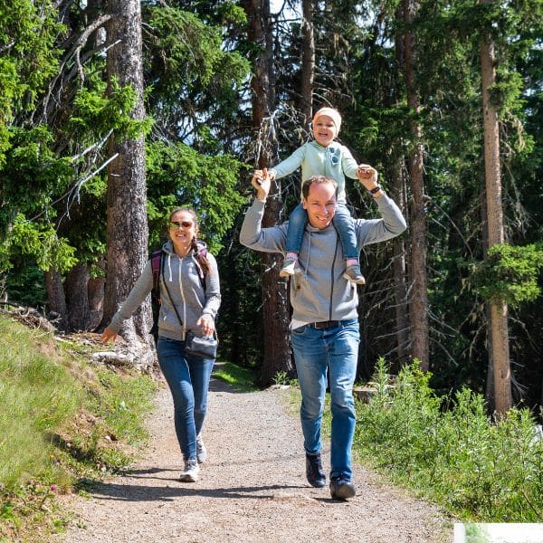 Professional cleaning services in Manitou Springs, Co free up time for fun family activities.