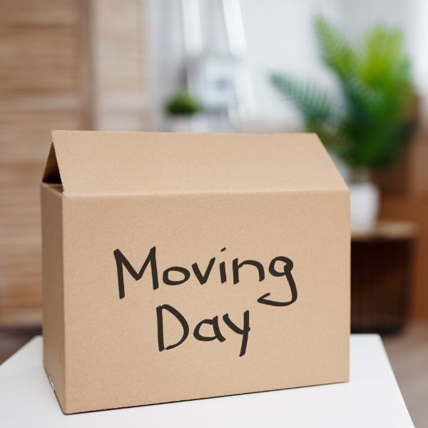 move in and move out cleaning in Colorado Springs, CO