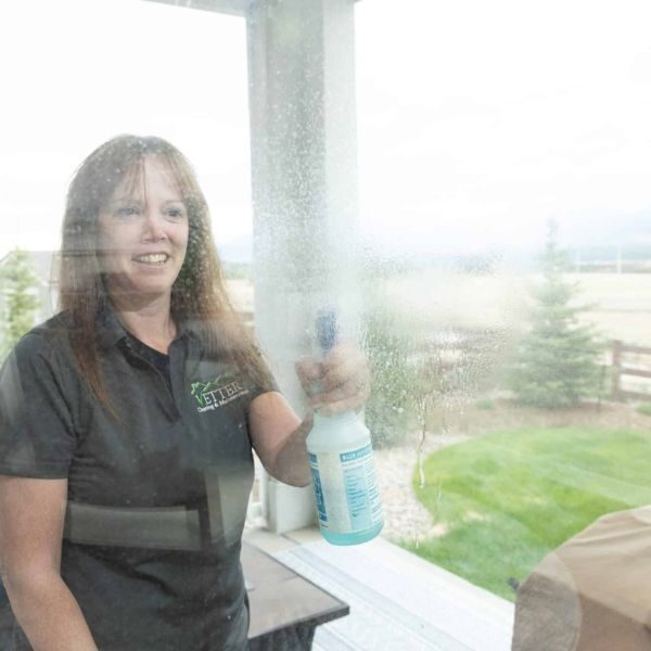 1 - Housekeeper Cleaning Windows