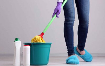 Professional cleaning services