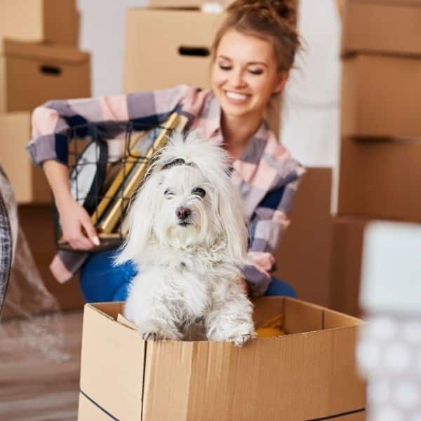 Move out cleaning services in Colorado Springs, CO