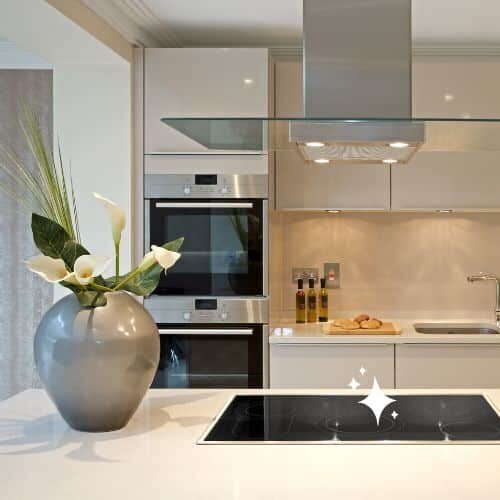 Expert kitchen cleaning services.