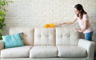 Keep your home dust-free