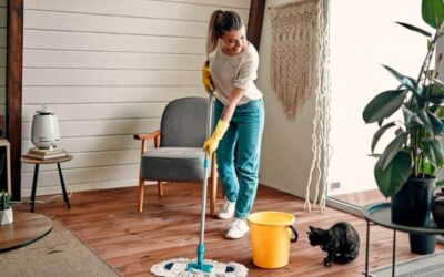Time-saving cleaning hacks for busy homeowners