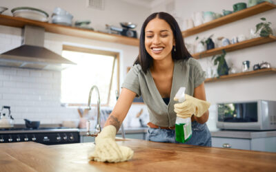 woman cleaning counter